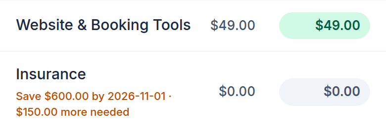 Two envelope rows on the plan screen. Website & Booking Tools sits fully funded at $49.00. Below it, Insurance carries a target reading Save $600.00 by 2026-11-01, with $150.00 more needed this month.